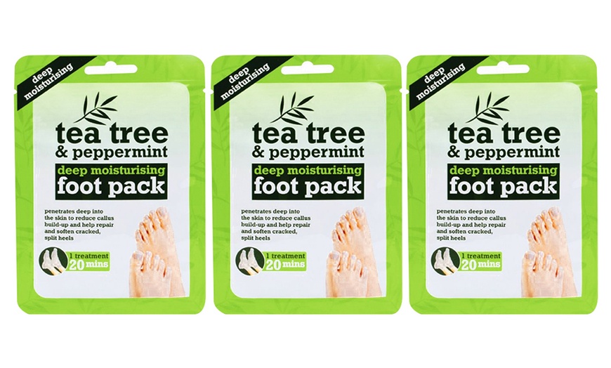 Image 1: Tea Tree Oils or Foot Masks