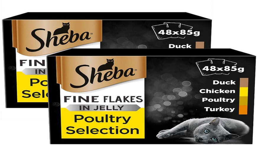 Sheba fine outlet flakes in jelly