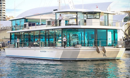 Child Ticket -4 Hour Boxing Day Cruise - A Boat Agency