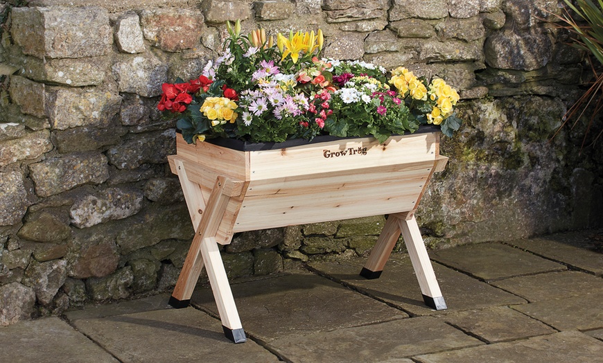 Image 2: Garden Grow Wooden Trug