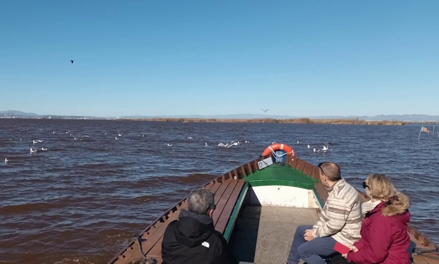 Image 14: ¡Descubre la magia de la Albufera en barca!