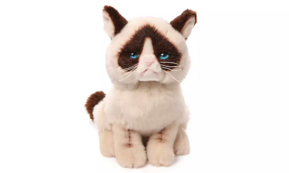 Grumpy Cat Plush Toy - Primary Image