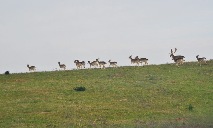 Image 15: Hasta 56% de dto. en CENTRO ANDALUZ DE LA FAUNA SALVAJE