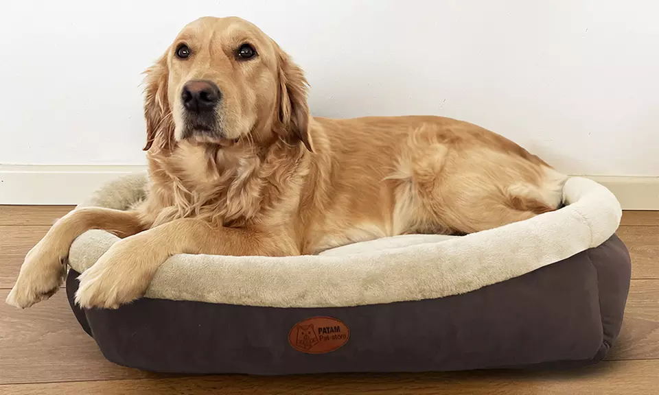 Cucce, lettini e divanetti per cani e gatti in vari modelli e misure