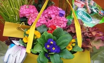 $20 for $40 Worth of Annuals, Perennials, Nursery Stock, and Gardening Supplies at Gardenland Garden Centres - Primary Image