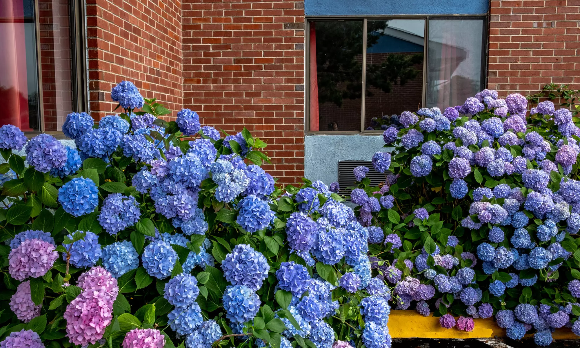 Stay at Hyannis Plaza Hotel, Barnstable!