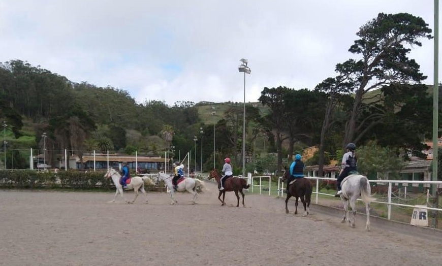 Image 6: Clases de equitación con expertos en un entorno natural único