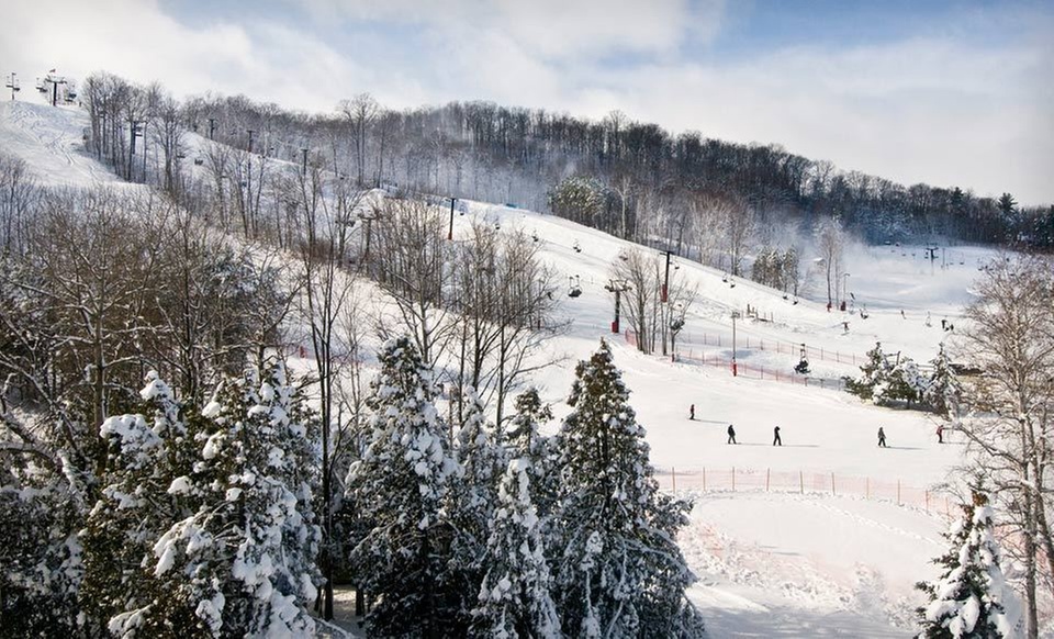 One-Night Stay for Two with Unlimited Lift Tickets at Horseshoe Resort in Ontario - Primary Image