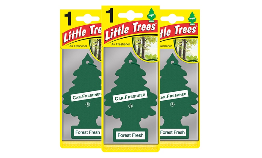 Up To 74% Off Little Trees Scent Bundle | Groupon