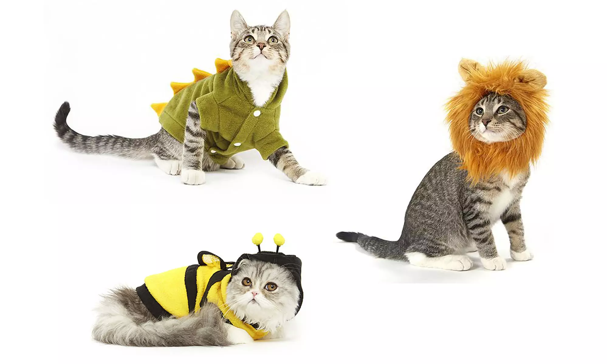 Meowingtons Cat Costumes - Primary Image