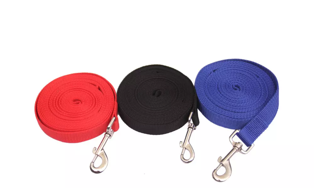 1 ou 2 laisses de dressage pour chien - Primary Image