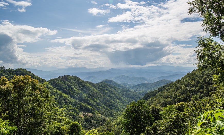 Image 8: Chiang Mai: 4N Tropical Escape