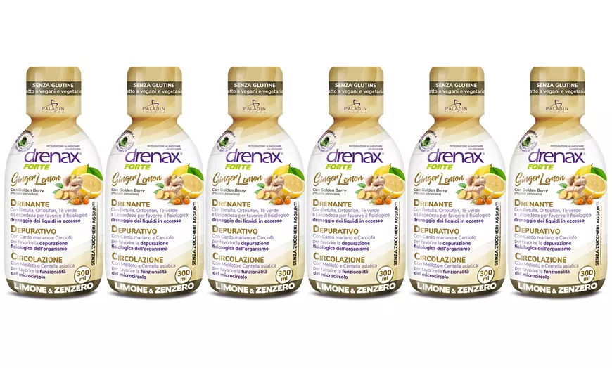 Image 13: 3, 4, 6 ou 9 flacons de compléments alimentaires "Drenax Forte" 300 ml