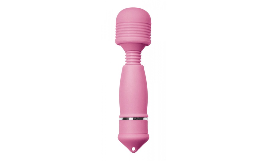 Image 20: Pasante Vibrators 