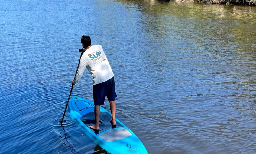 Explore the Manatee River on a 2-Hour Paddleboard Tour