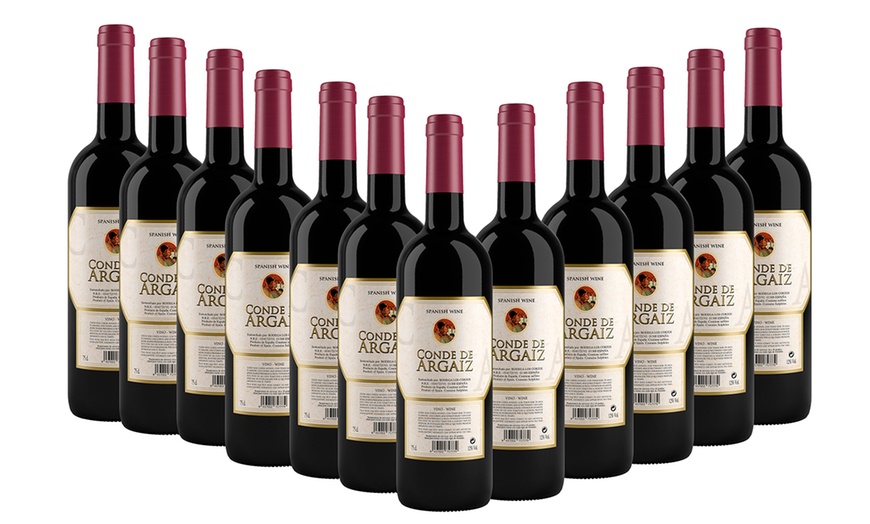 Image 1: 12 Bottles of Spanish Rioja Wines