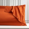 Image 4: Mulberry Silk Beauty Pillowcase Duo