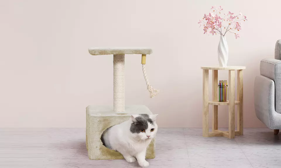 Tiragraffi in sisal naturale con base rinforzata in vari modelli e colori