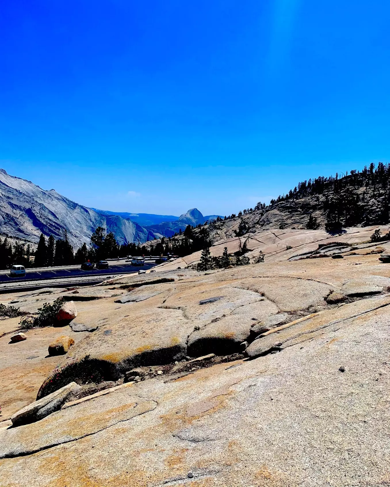 Muir Woods with Napa & Sonoma Wine Country