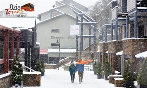 Sydney: One-Day Thredbo Snow Tour