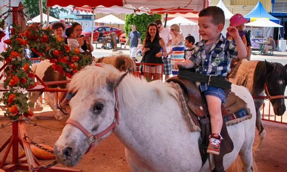 Enjoy Maricopa Fun-Filled County Fair with Carnival and Food Favs