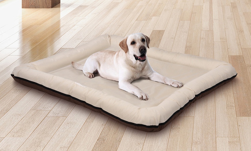 Image 9: Large Flat Dog Beds