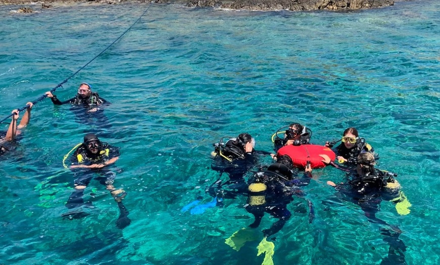 Image 6: ¡Sumérgete en el mundo submarino y captura recuerdos inolvidables!