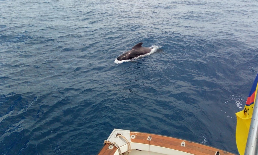 Image 9: Paseo en barco