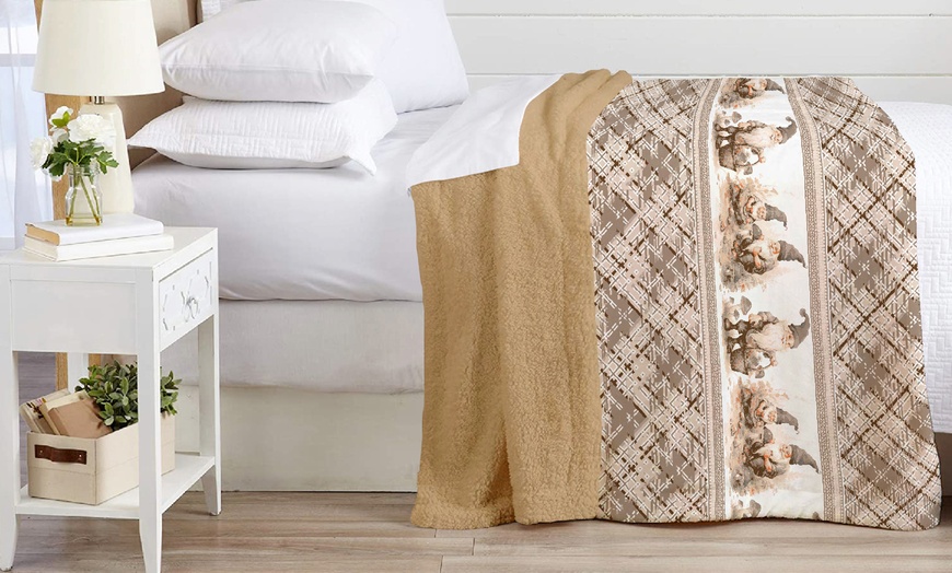 Image 7: Ultrasoft sherpa & microfiber deken