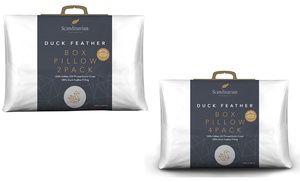 Duck Feather Pillows