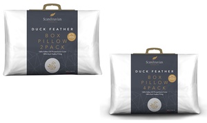 Duck Feather Pillows