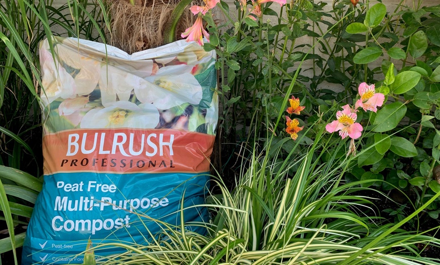 Image 2: Bulrush Peat-Free Garden Compost – 1 or 2 40L Bags