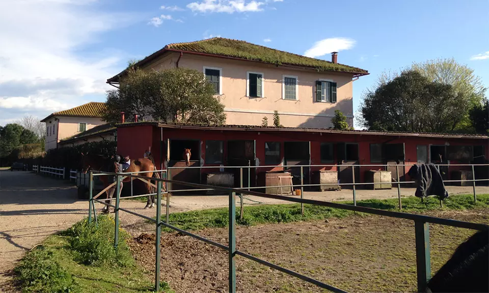 4 lezioni equitazione o passeggiate per una o 2 persone al Circolo Acqua Santa, Parco Appia Antica (sconto fino a 71%) - Primary Image