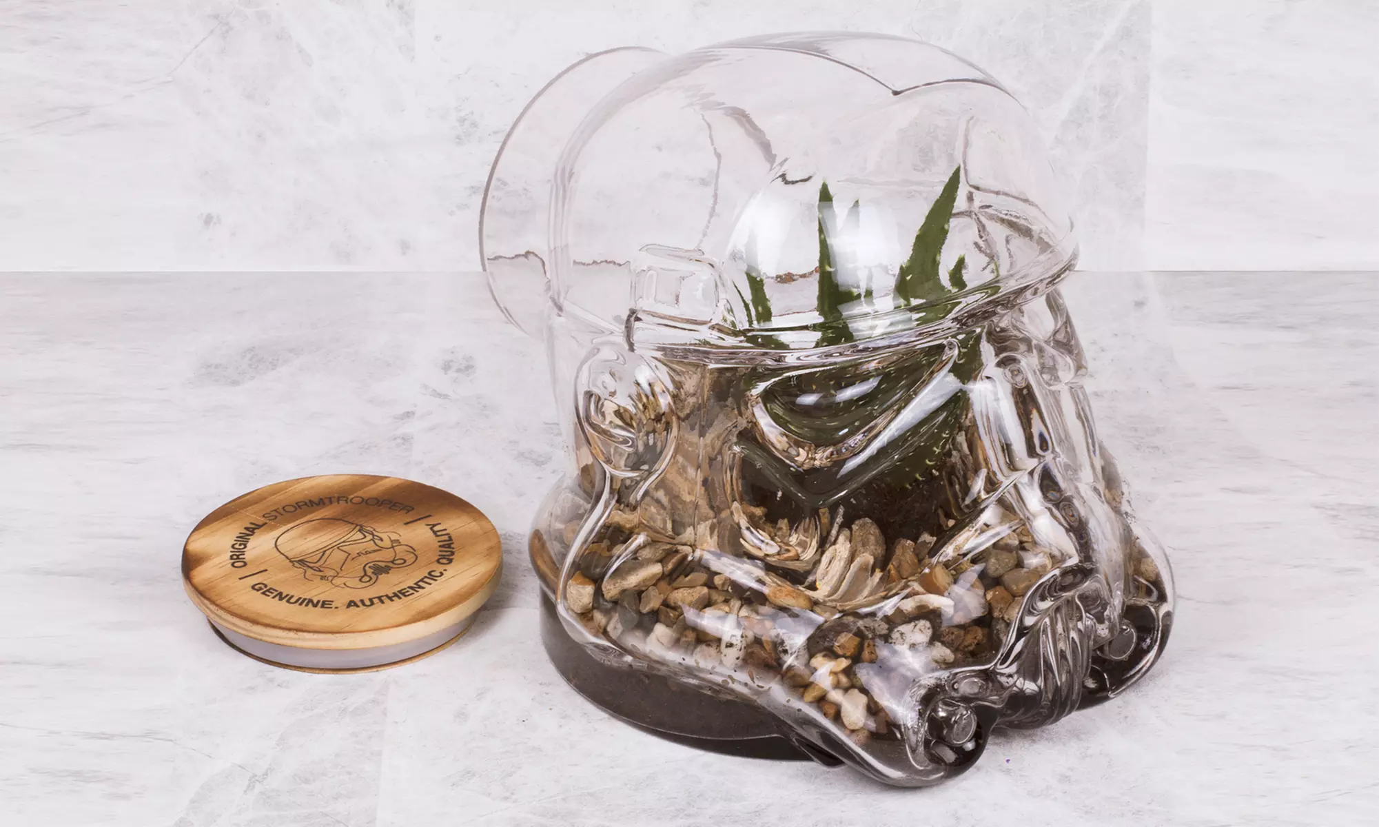 Pot de fleurs pour terrarium Stormtrooper - Primary Image