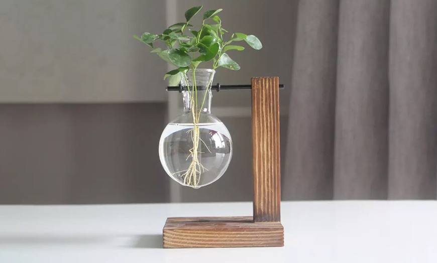 Image 2: One or Two Glass Planters for Indoor Plants