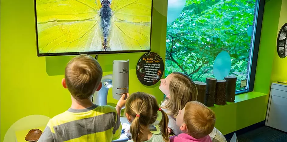 Admission for One, Two, or Four at North Museum Of Natural History And Science (Up to 48% Off) - Second Medium