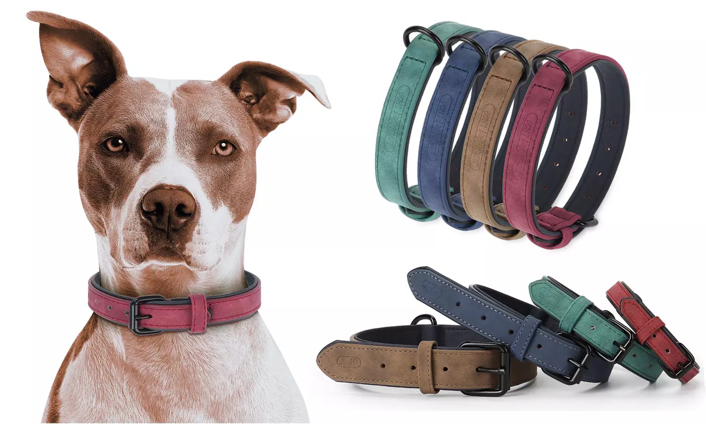Adjustable Soft Leather Pet Dog Collar for Small Medium Large Dogs