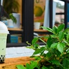 Image 2: Enjoy a Choice of Bubble Tea, Smoothie, or Refresher for 1, 2, 3 or 4