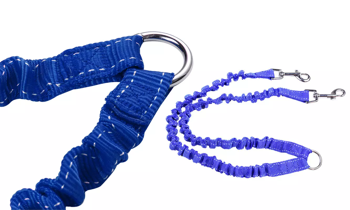 Waloo Pets Double Dog Bungee Dog Leash - Primary Image