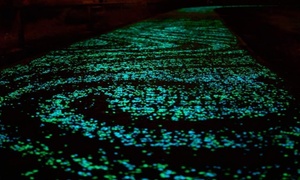  300-Piece Glow-in-the-Dark Garden Stones 