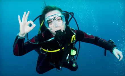$12 for a Discover Scuba Class from Explorer Diving ($25 Value) - Primary Image