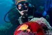 Cairns: One Child or One Adult for a Certified SCUBA Dive with Down Under Cruise and Dive - Second Medium