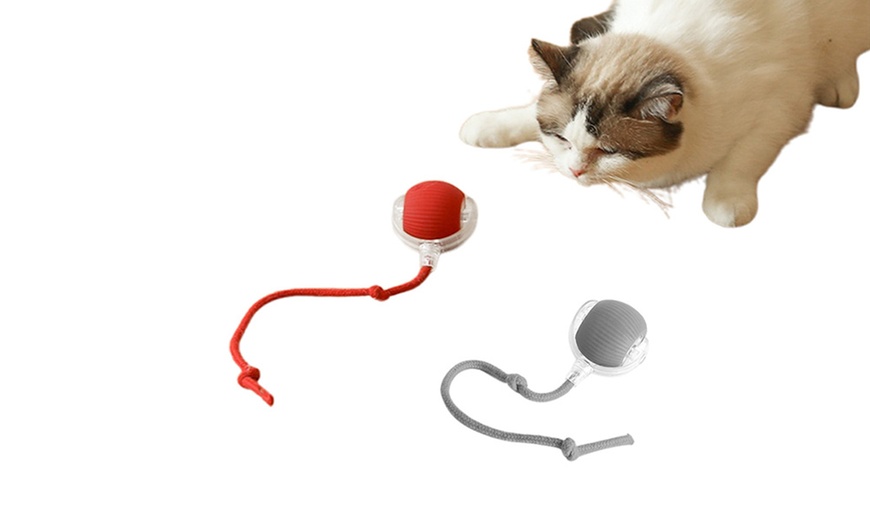 Image 2: Interactive Electric Cat Rolling Ball Toy