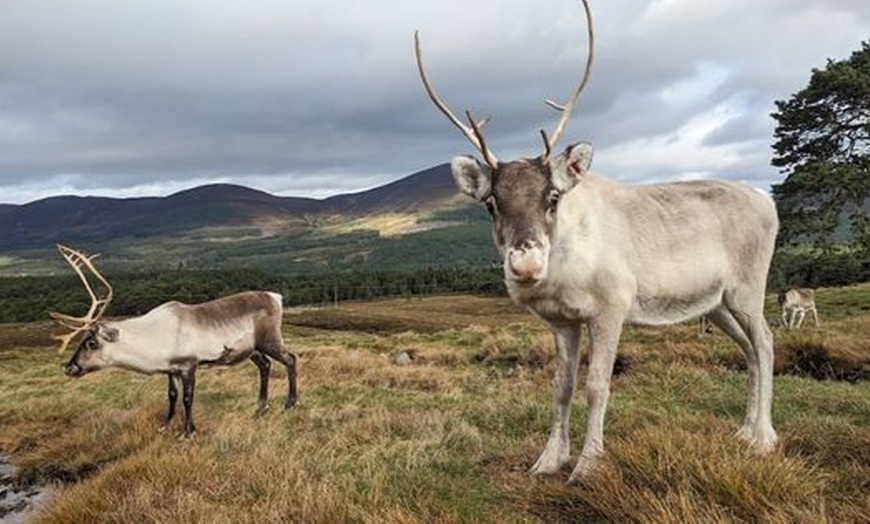 Image 9: Scottish Highlands: 4* Picturesque Stay for 2 with Breakfast