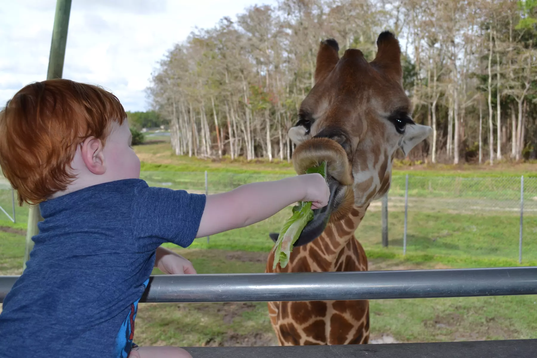 Save up to 50% Miami Explorer Pass: 25+ Things to Do