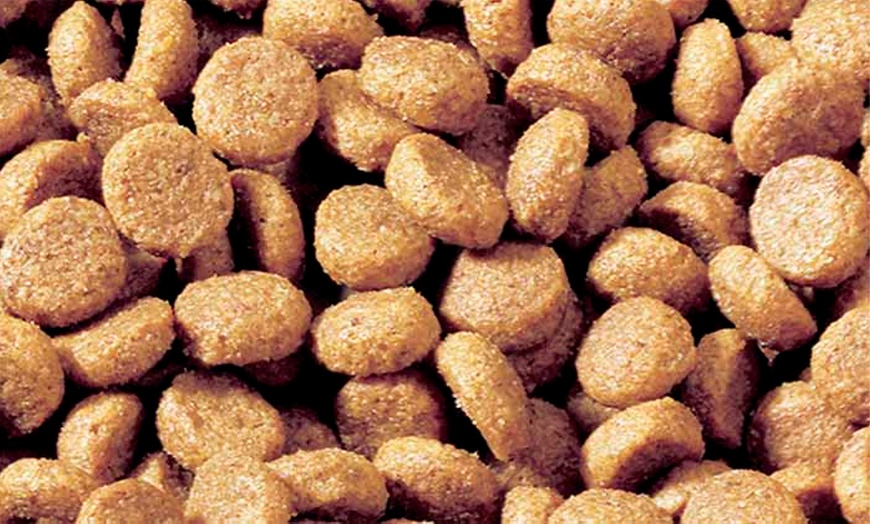 Image 16: Pedigree Dog Pouches and Dry Food