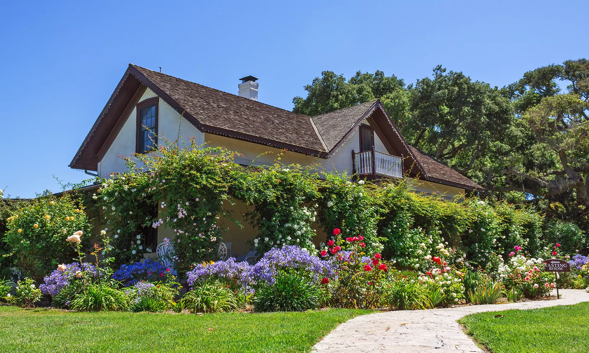 Tour, Wine-Tasting Class, and Snacks for Two or Four at Rideau Vineyard (74% Off)  - Primary Image