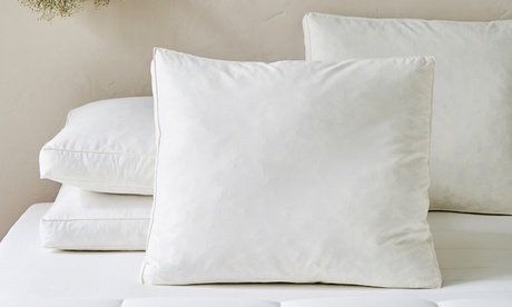 1, 2 ou 4 oreiller garni de plumes naturelles avec enveloppe en coton