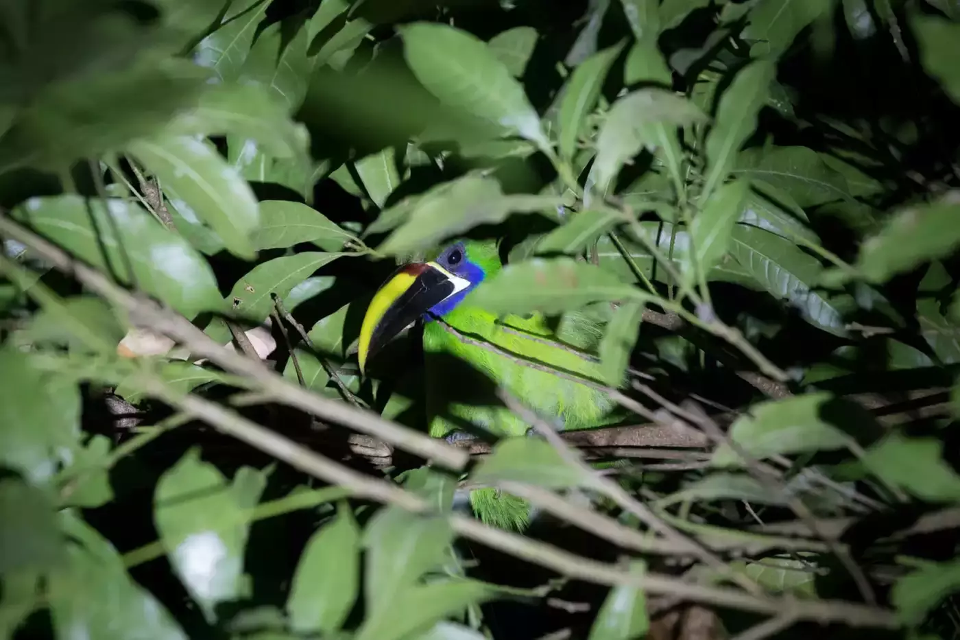 ✈ 8-Day Tour of Costa Rica with Air from Great Value Vacations