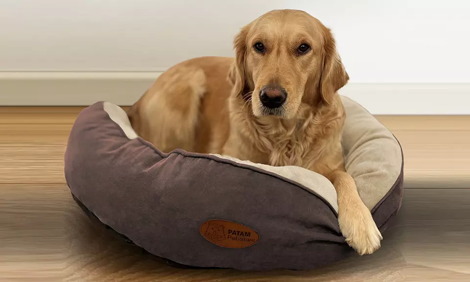 Cucce, lettini e divanetti per cani e gatti in vari modelli e misure